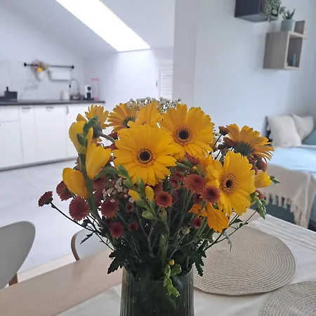 Cosyrest-odpocznij Przytulnie Apartament Wrocław