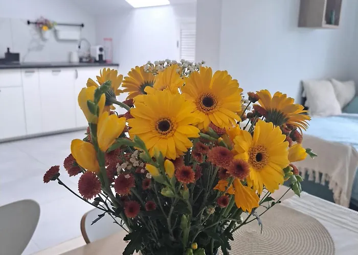 Cosyrest-odpocznij Przytulnie Appartement Wrocław