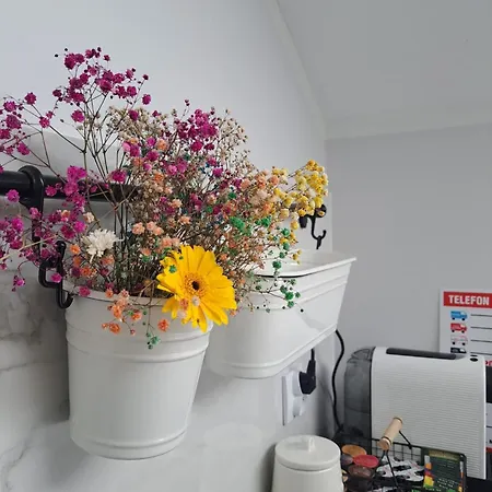 Apartament Cosyrest-odpocznij Przytulnie *